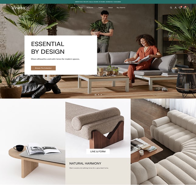 Vineta’s web development project screenshot