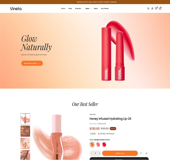 Vineta’s web development project screenshot