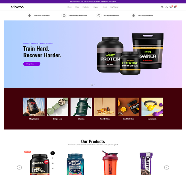 Vineta’s web development project screenshot